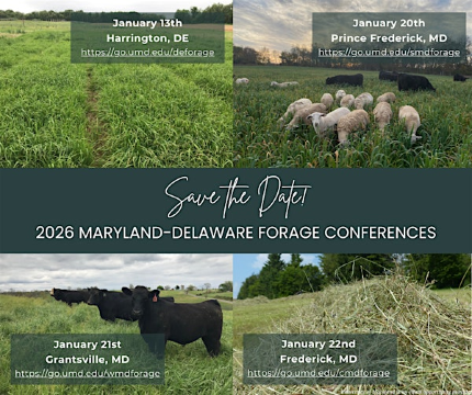2026 Southern Maryland Forage Conference | Calvert County Fair