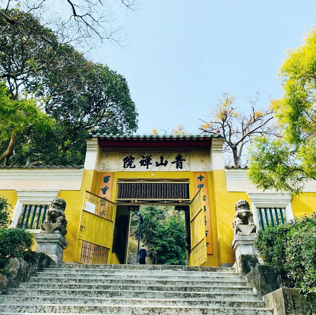 青山
