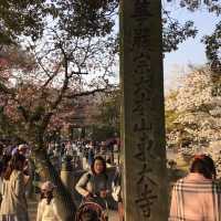 奈良｜東大寺周邊散策～跟小鹿一起看櫻花