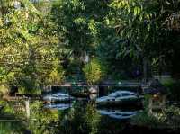 Naples Botanical Garden