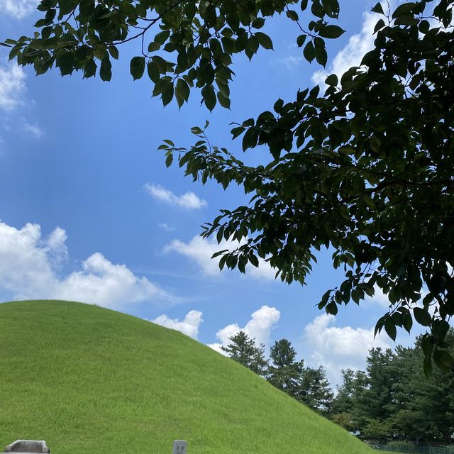파릇파릇한 경주 대릉원