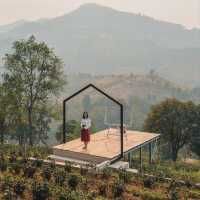 Glamping บนดอยกลางไร่ชาสุดปัง