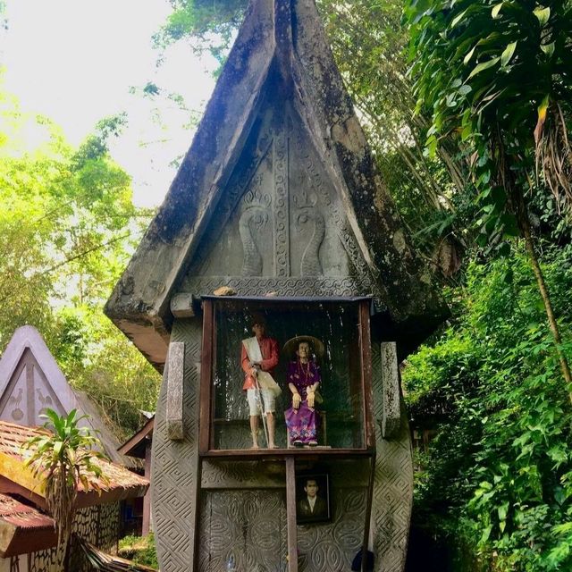 TANA TORAJA
