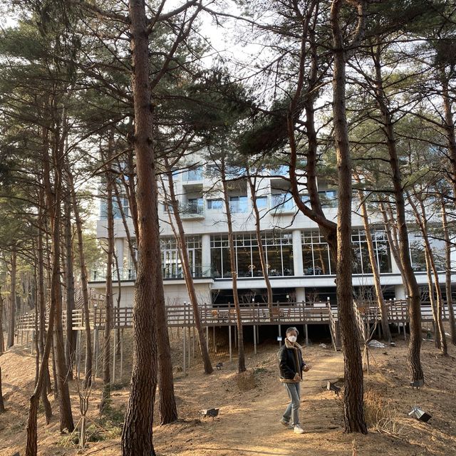 강원도양양 하조대 북카페 “카페로그”