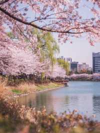 동화속 세상에 온 것만 같은 서울 여행지