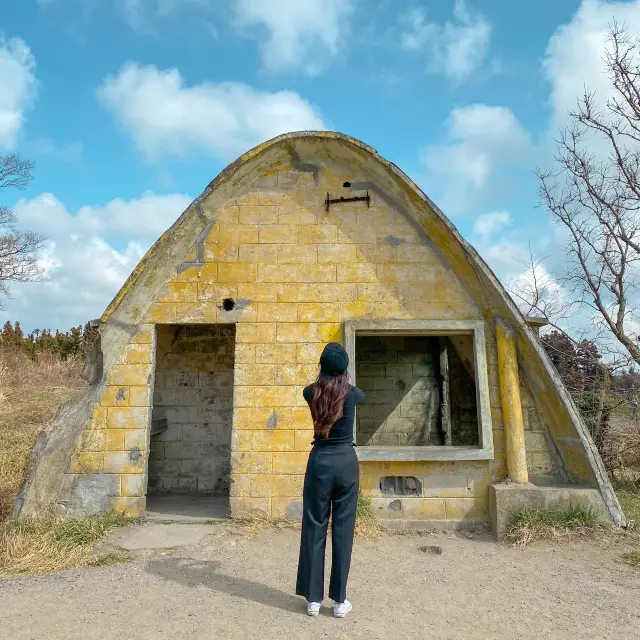 제주 한립, 성이시돌목장 & 이국적인 테쉬폰📷