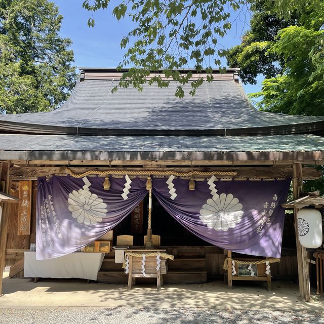 【奈良県】歴史的逸話が残された神社で思いを馳せる旅