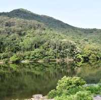 滿山翠綠流水響