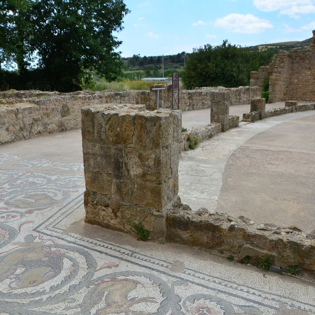 世界文化遺產Villa Romana del Casale