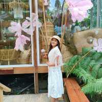 🏡บ้านไร่ ไออรุณ🌸🌺🌳