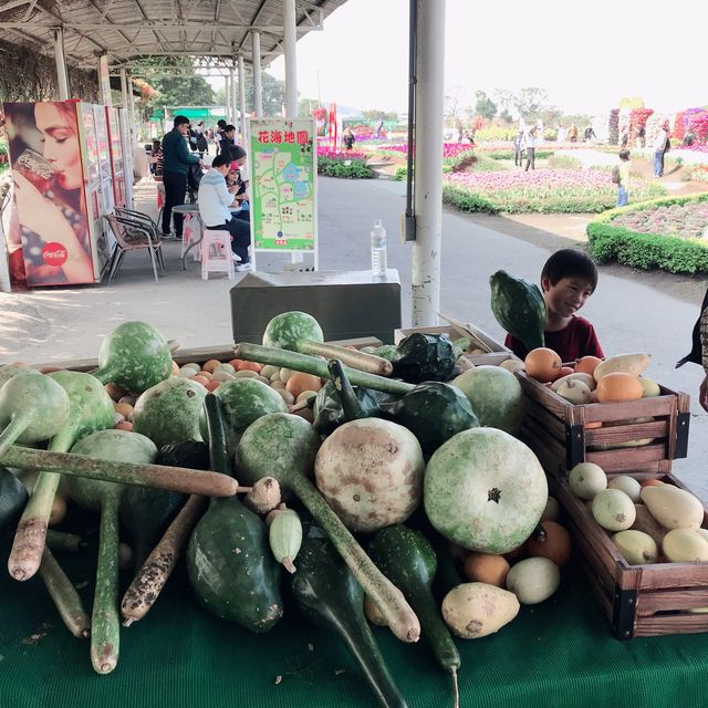 一年四季都能賞花的勝地