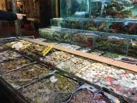 ร้านอาหารทะเล Michelin guide ในหมู่บ้านประมง 