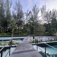 ห้องอาหาร Elements @อวานี พลัส เขาหลัก รีสอร์ท