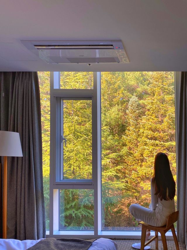 푸릇푸릇한 마운틴 뷰로 유명한 ‘낙산비치호텔’ 🌳