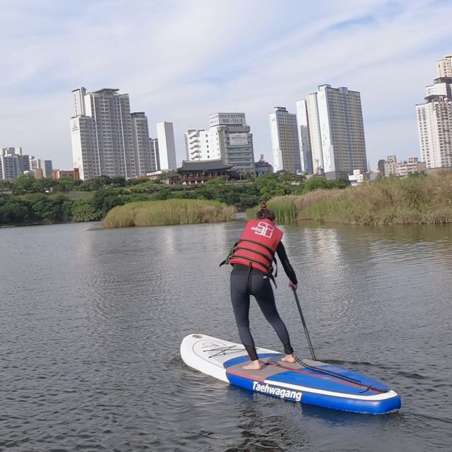 태화강에서 패들보드🏄‍♀️