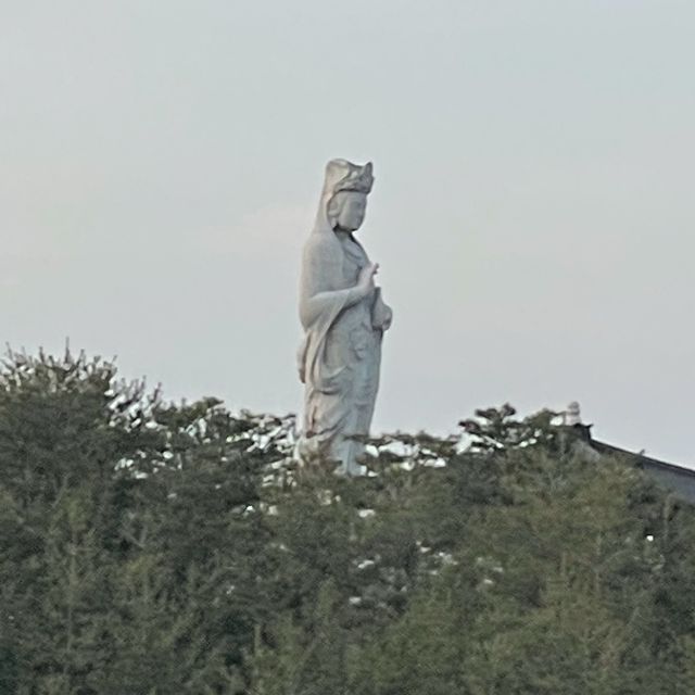 이번 여름 강릉 여행 추천 드립니다