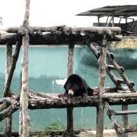 Jong Crocodile Farm - Serian