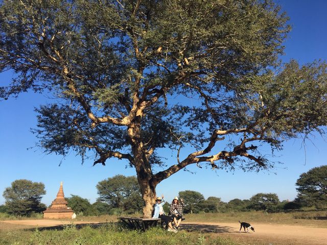 Lost in bagan