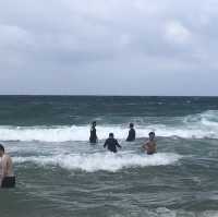 강원도 양양 핫한 바다_서피비치
