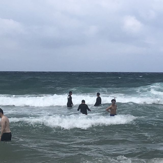 강원도 양양 핫한 바다_서피비치