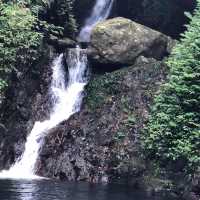 梧桐寨井底瀑
