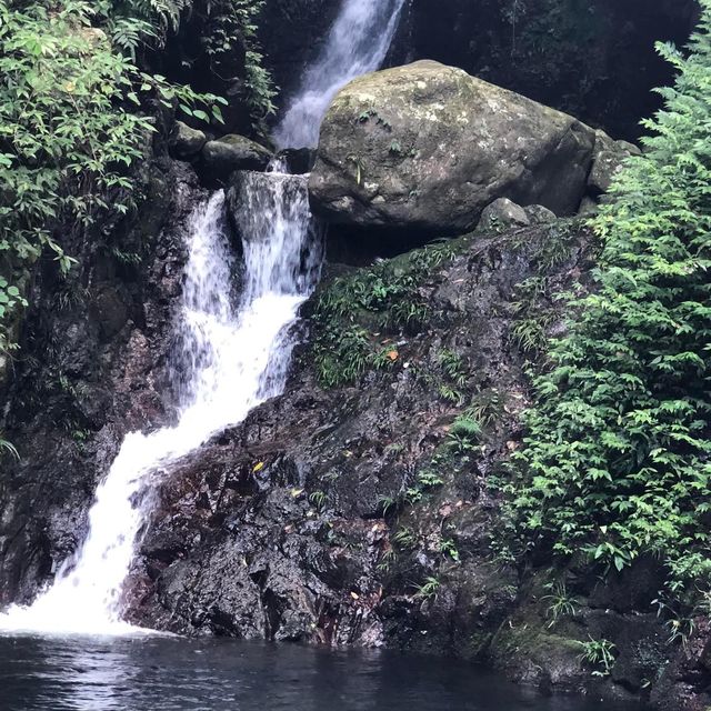 梧桐寨井底瀑