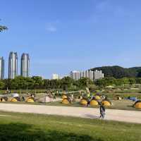 울산 텐트/돗자리 피크닉 🌱 태화강 국가정원