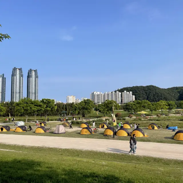울산 텐트/돗자리 피크닉 🌱 태화강 국가정원