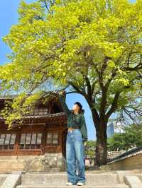 덕수궁 산책 🌿