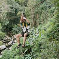 Nat Kat Yorlapar 🌳
