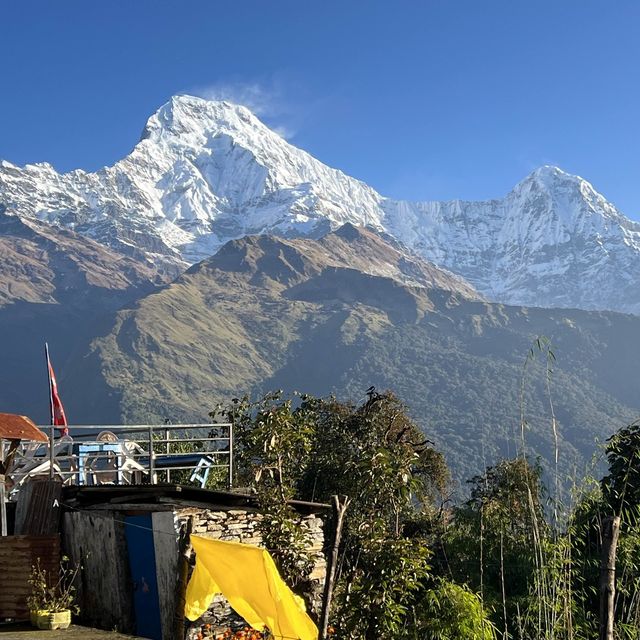 Tadapani…Fishtail view point
