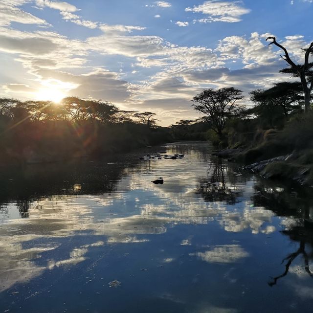 A most SPECTACULAR photo Safari in Tanzania 