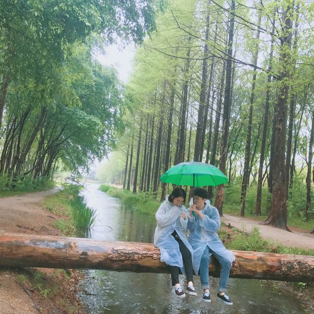 경주 구석에서 인생샷 찍을 수 있는 곳🌴
