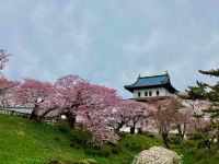 松前城