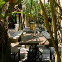 Waroeng Pohon At Jogja