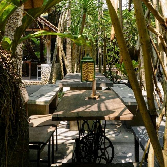 Waroeng Pohon At Jogja