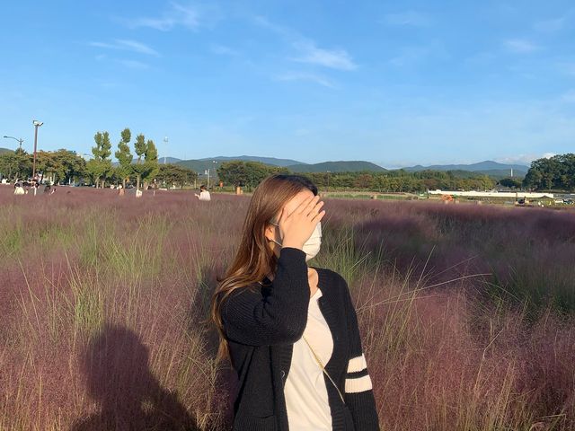 경주 첨성대 핑크뮬리