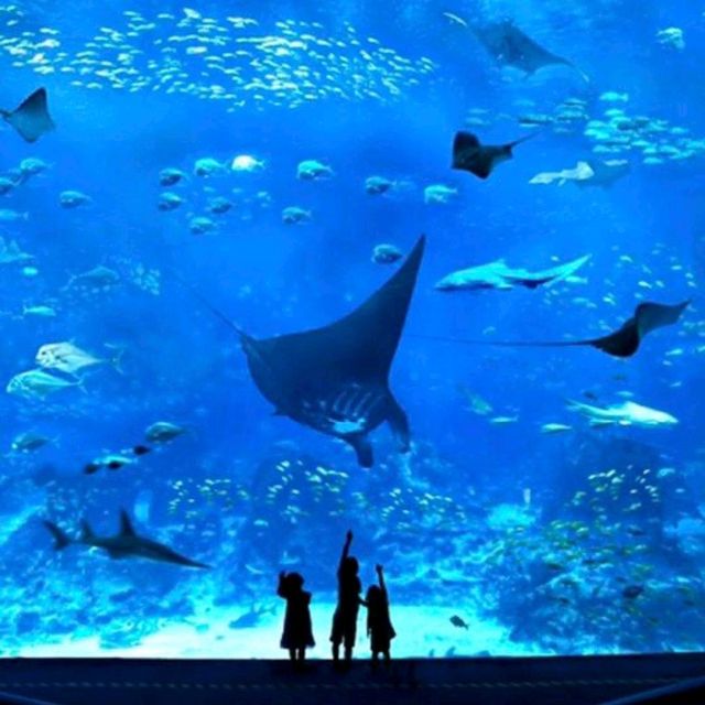 S.E.A. Aquarium