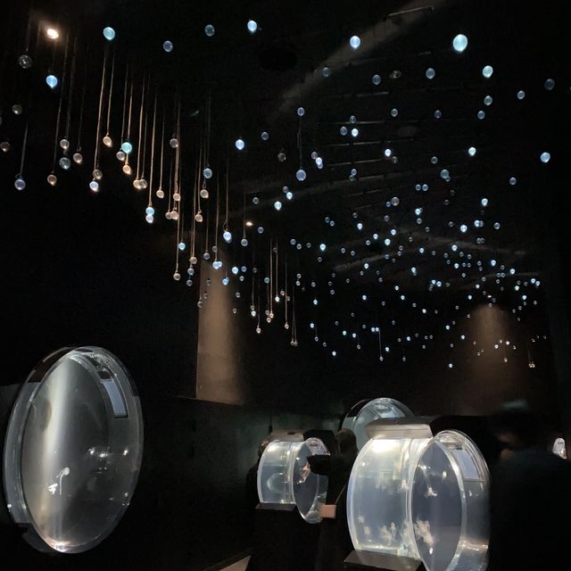 インスタ映えする世界最大級の水族館、海遊館！