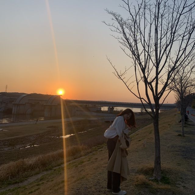 [대구] 노을 명소, 강정보🌅🌇