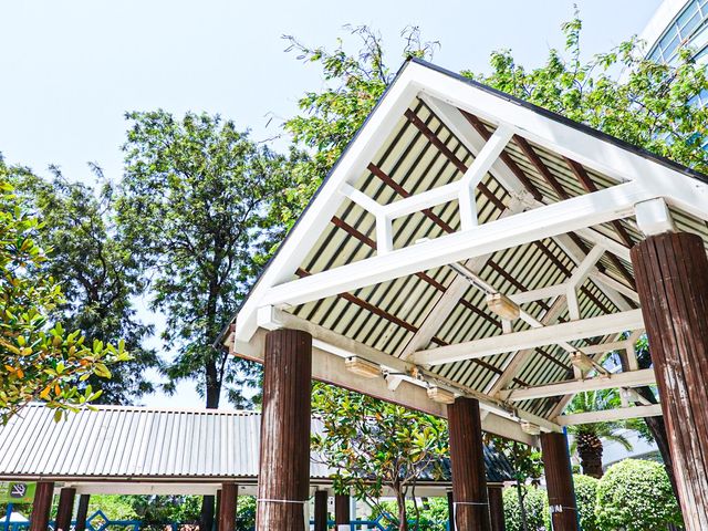 漫步人生 荃灣公園