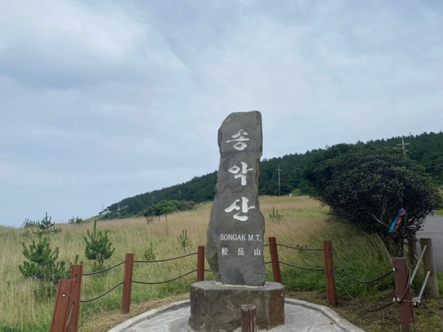 제주도 바다가 보이는 산, 걷는 내내 절경인 송악산 등산 🏃🏻‍♀️