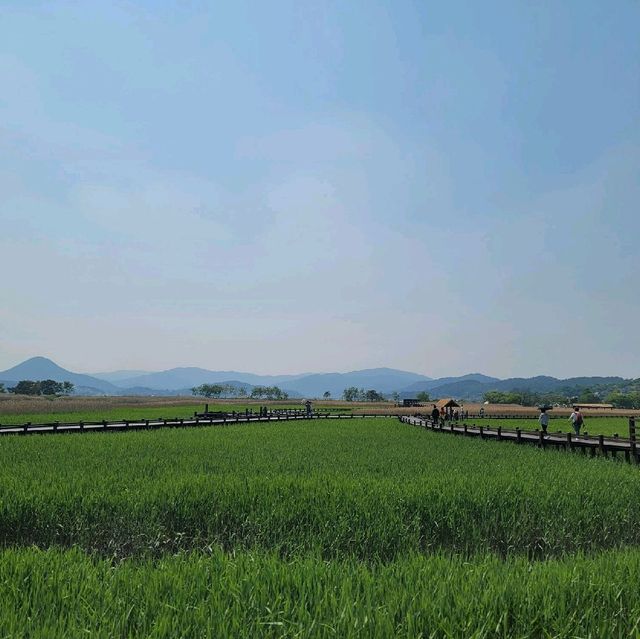 순천여행 순천만자연생태공원 
