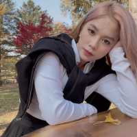 Đi đảo Nami trong vòng 1 ngày