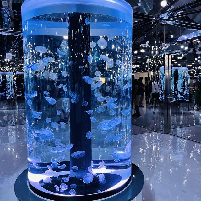 X Park 水族管 