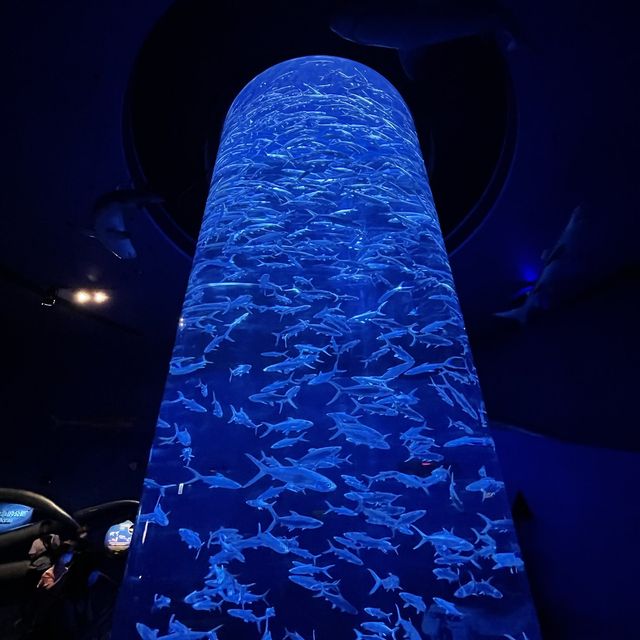 久違的海洋公園！