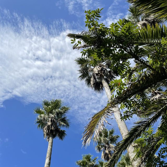 江ノ島シーキャンドル