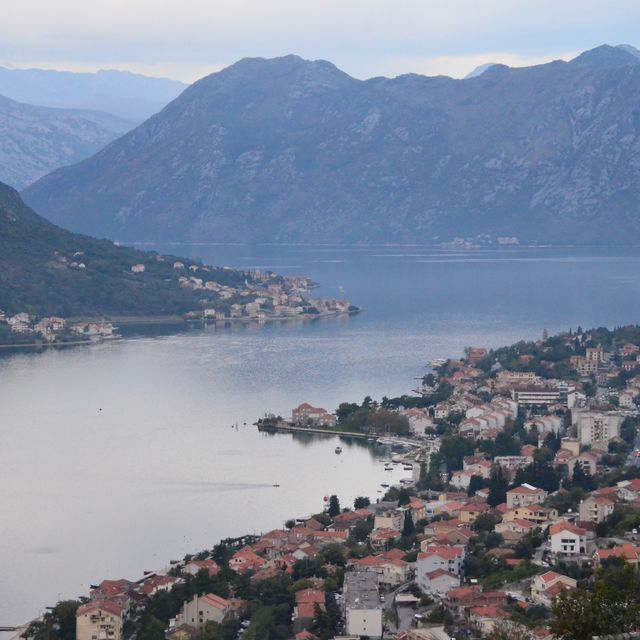 黑山共和國Kotor🔶 科托