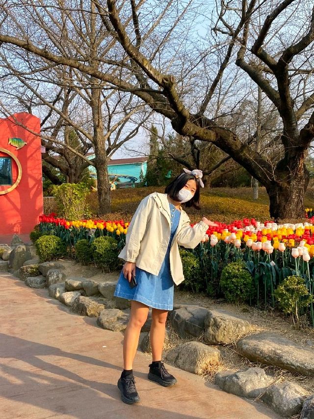 경주월드 놀이기구 장난 아닌데?