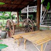 Living land farm 